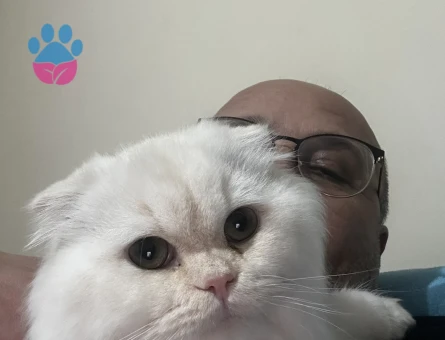 Yakışıklı oğluma eş arıyorum