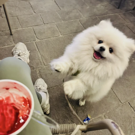 eba