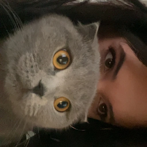  ebrarmaya
