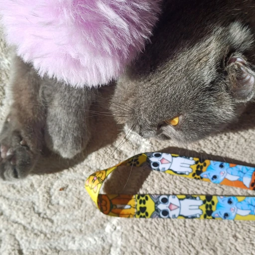 kediko-cookie