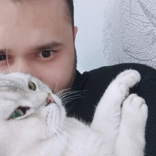 melihcinar
