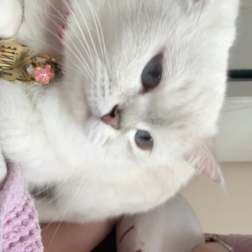 minel