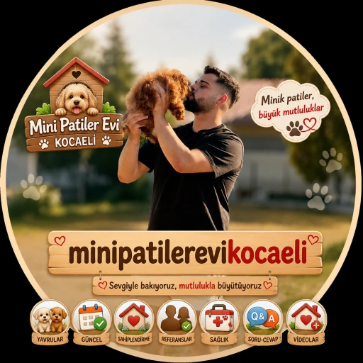 minipatilerevi