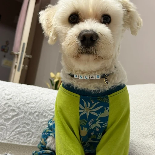  oscarpablo