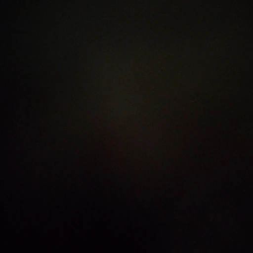  prlr