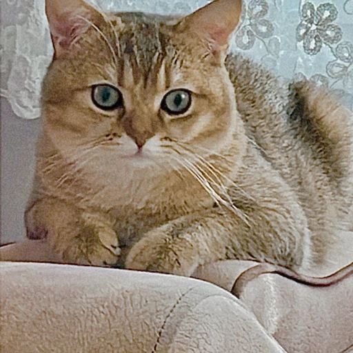 ranar