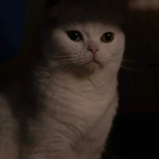 sebiiha
