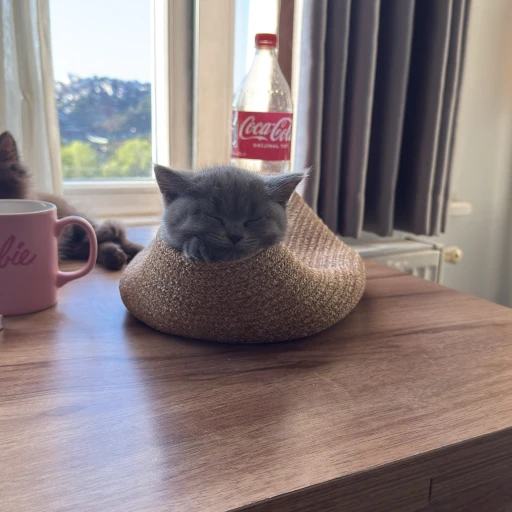  suflecat
