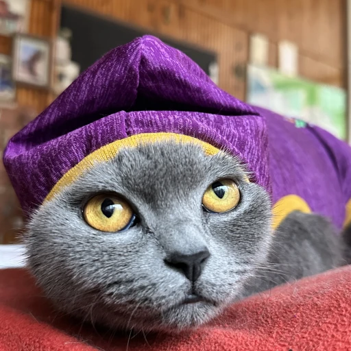  tugce-yumuk