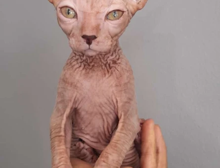 Yavru Safkan 2 Aylık Sfenks Yavrularımız