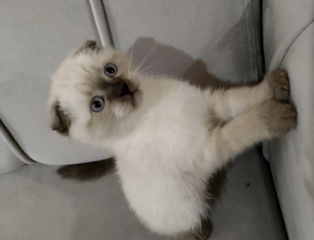 Yavrumuz hala duruyor😇