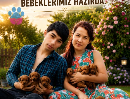 Maltıpo öyuncak tatlı bebekler