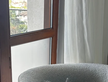 British Shorthair 1 Yaşında Eş Arıyor - 118984396