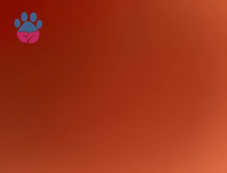 1 Yaşında Scottish Fold Kedi İlanı