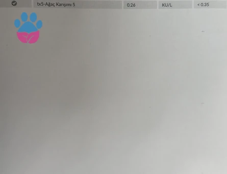 SARI OĞLUM - 10495 - Görsel 5