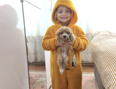 3 kilo garantili bal 🍯 böcekleri - 10836
