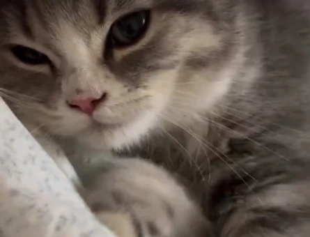 Sevimli oyuncu top kafa bebek