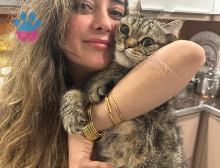 Teoya ömürlük yuva arıyoruz - 9244 - Görsel 5
