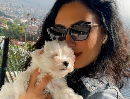 Maltese terrier yavrularım sağlık ve garantilidir - 7348