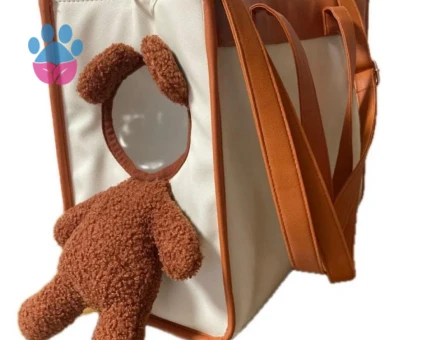 1 Yaşında, Aşıları Tam, Eğitimli Dişi Toy Poodle