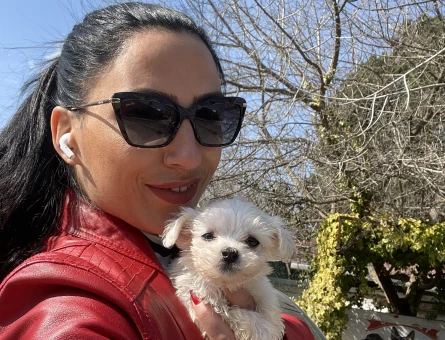 Maltese terrier yavrularım sağlık ve ırk garantilidir - 9497