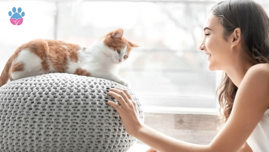 Yavru Kedilerle Bağ Kurmak İçin Neler Yapılır