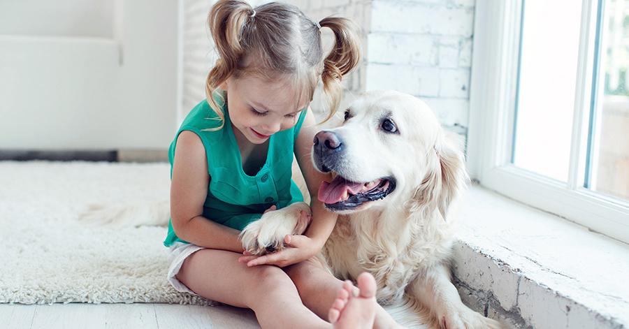 Çocuklarla Anlaşan Köpek Cinsleri Çocuklarla Anlaşan Köpek Cinsleri