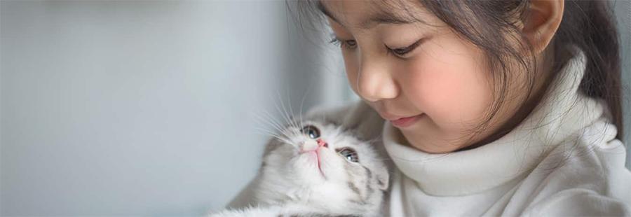 Kediler Çocuklarla Anlaşabilir mi? Çocuklarla Anlaşan Kediler