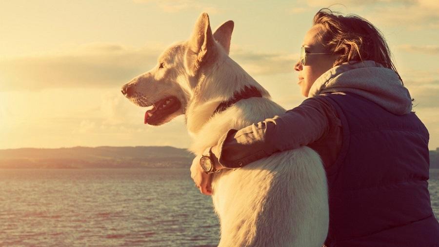 Köpekler Sahiplerini Nasıl Tanır?