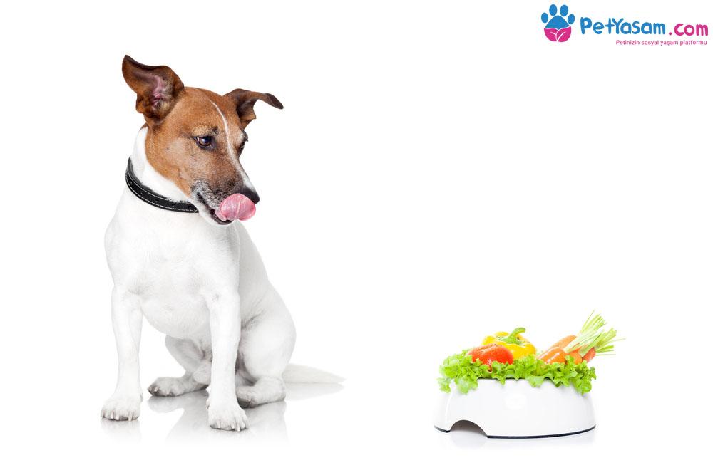 Köpekler Hangi Sebze ve Meyveleri Tüketebilir?