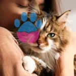 Kedi Sahiplenmek İçin Neler Gerekli?