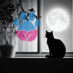 Kediler Geceleri Neden Uyumaz