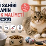 Kedi Sahibi Olmanın Aylık Maliyeti 2026 Güncel Rehber