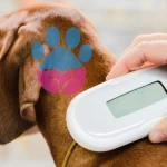 Evcil Hayvanlara Mikroçip Nasıl Takılır? Mikroçip Faydaları