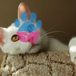 En Agresif Kedi Van Kedisi mi? Dünyanın En Agresif Kedileri