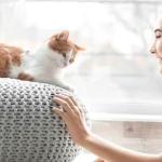 Yavru Kedilerle Bağ Kurmak İçin Neler Yapılır