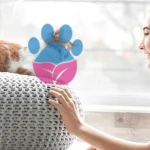 Yavru Kedilerle Bağ Kurmak İçin Neler Yapılır