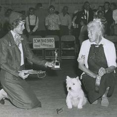 Evcil Hayvan Alerjisi Nasıl Geçer?