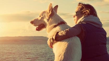 Köpekler Sahiplerini Nasıl Tanır?