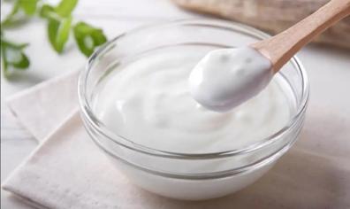 Köpekler Yoğurt Yer Mi?